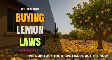 Are There Home Buying Lemon Laws? What Buyers Need to Know