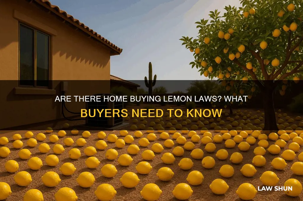 are there home buying lemon laws