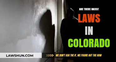 Understanding Colorado's Incest Laws: Legal Boundaries and Consequences Explained