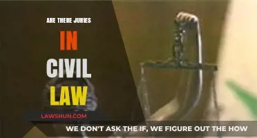 Are Juries Involved in Civil Law Cases? Exploring Legal Practices