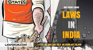 Understanding India's Labor Laws: Rights, Regulations, and Worker Protections Explained