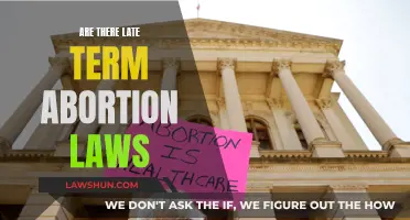 Late-Term Abortion Laws: Understanding the Complex Legal Landscape