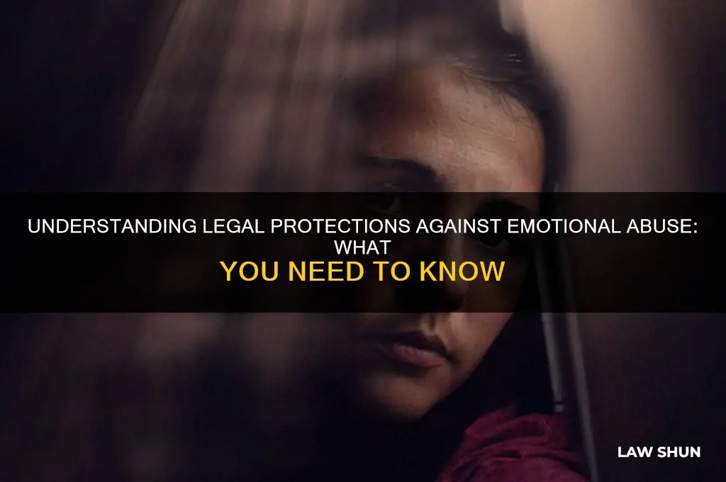 are there law about emotionally abusive