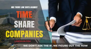 Legal Battles: Are Time Share Companies Facing Lawsuits?