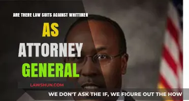 Whittaker Under Fire: Lawsuits Against the Attorney General Explored