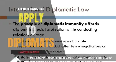 Diplomats and Legal Boundaries: What Laws Apply?