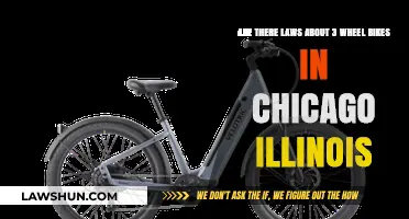 Chicago's 3-Wheel Bike Laws: What You Need to Know