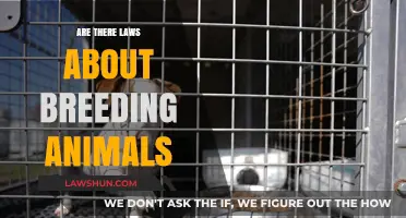 Understanding Legal Regulations on Animal Breeding: What You Need to Know