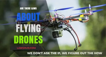 Navigating Drone Regulations: Understanding Legal Requirements for Safe Flight