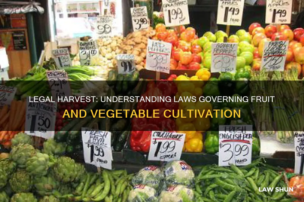 are there laws about fruits and vegetable growing and regulation