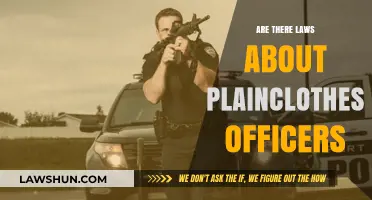 Plainclothes Officers: Legal Boundaries and Public Awareness Explained