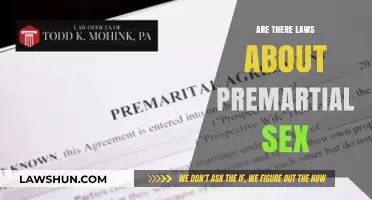 Premarital Sex Laws: Global Perspectives and Legal Implications Explored