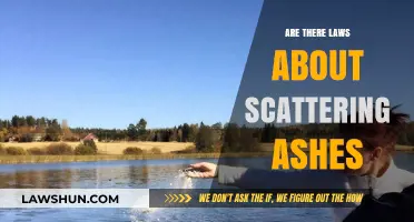 Scattering Ashes: Understanding Legal Guidelines and Restrictions for Loved Ones