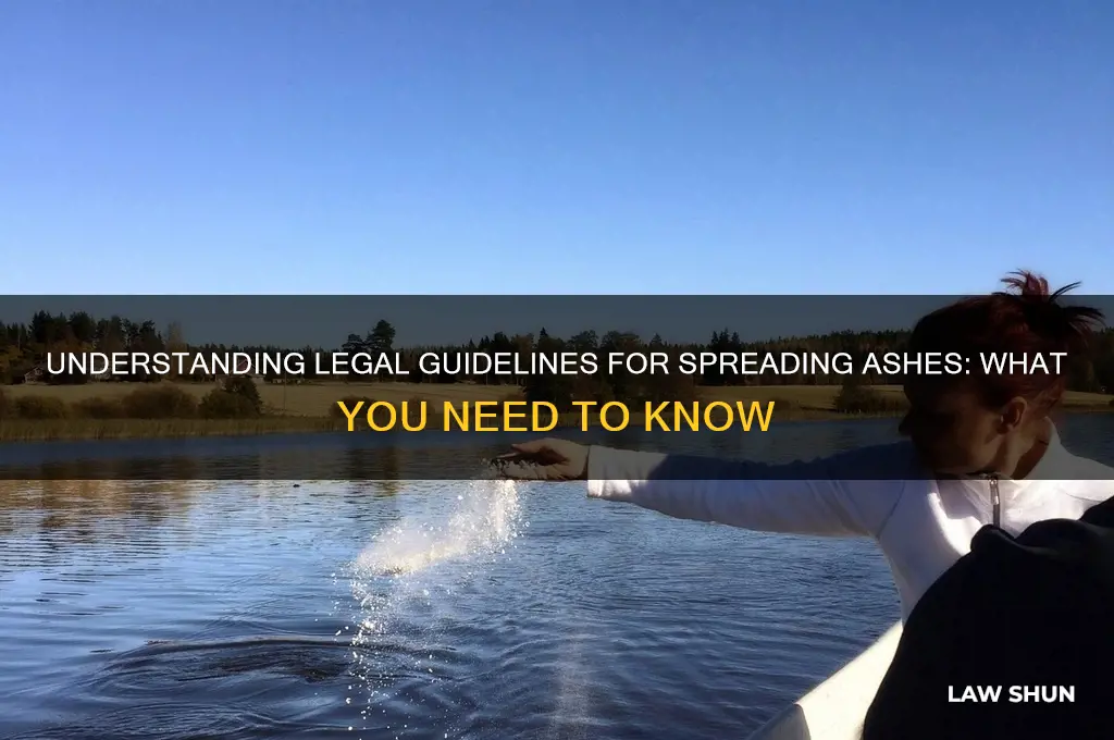 Understanding Legal Guidelines For Spreading Ashes What You Need To