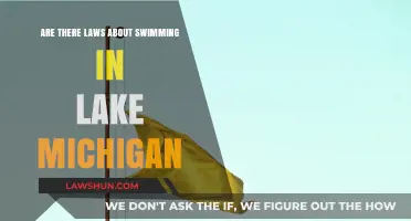 Swimming in Lake Michigan: Legal Guidelines and Safety Regulations Explained