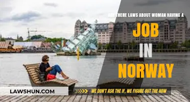 Norway's Gender Equality Laws: Do They Guarantee Women's Right to Work?