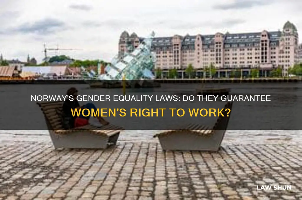 are there laws about woman having a job in norway