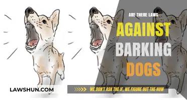 Legal Limits: Understanding Laws Against Excessive Dog Barking
