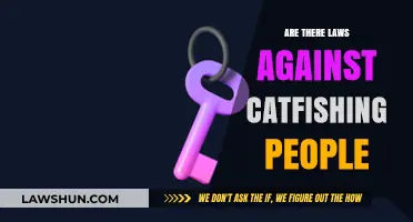 Catfishing Laws: Legal Consequences and Protections Against Online Deception