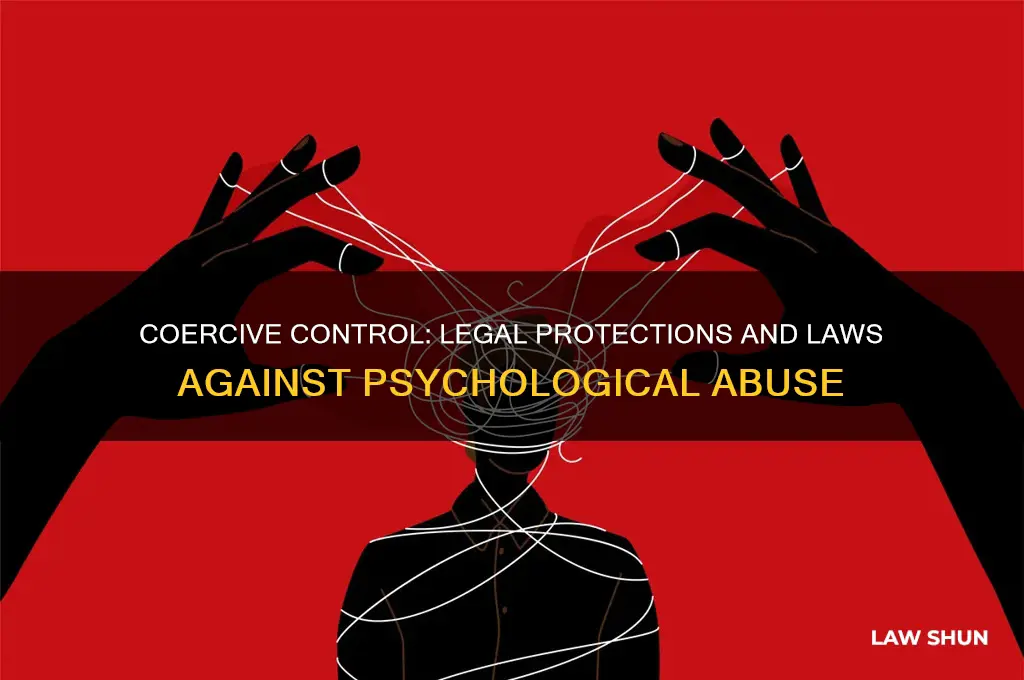 are there laws against coercive control