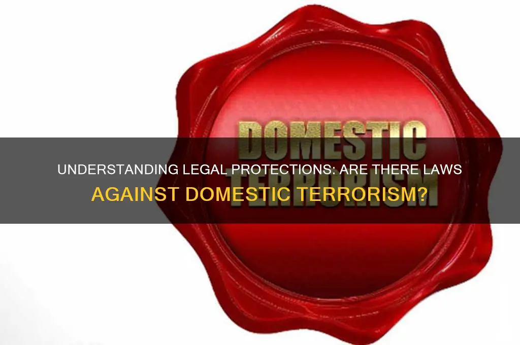 are there laws against domestic terrorism