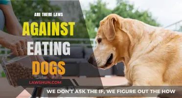 Legal Perspectives: Are There Laws Against Eating Dogs Worldwide?