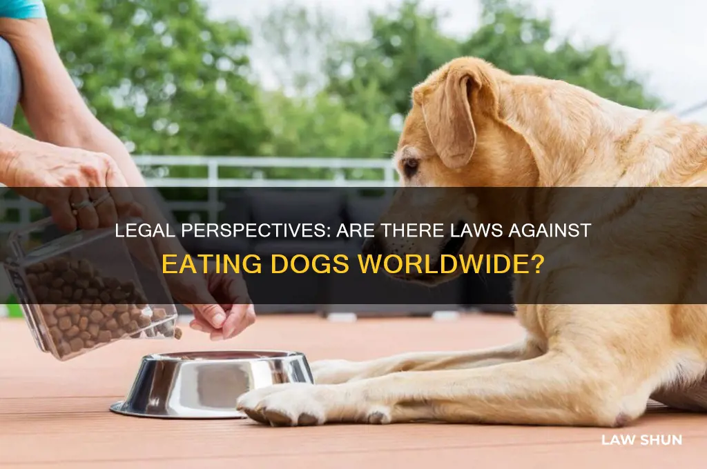 are there laws against eating dogs