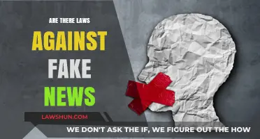 Are There Laws Against Fake News? Exploring Legal Boundaries and Challenges