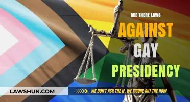 Legal Barriers to LGBTQ+ Presidential Candidates: Myth or Reality?
