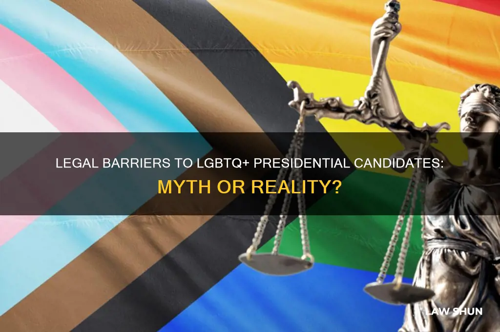 are there laws against gay presidency
