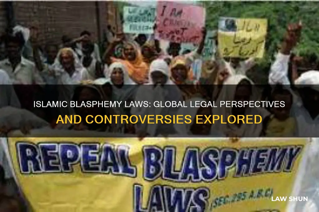 are there laws against islamic blasphemy