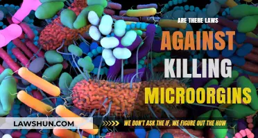 Legal Boundaries: Are There Laws Against Killing Microorganisms?