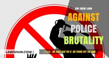 Are There Laws Against Police Brutality? Exploring Legal Protections and Accountability