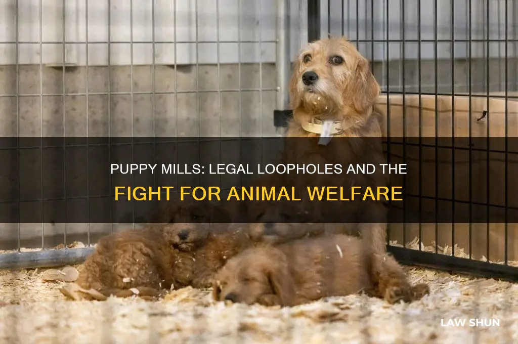are there laws against puppy mills