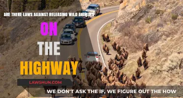 Releasing Wild Animals on Highways: Legal Consequences and Safety Concerns