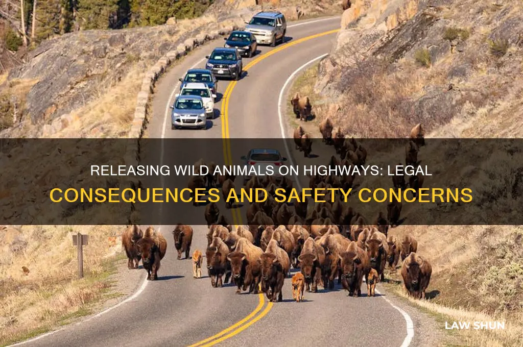 are there laws against releasing wild animals on the highway