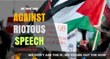 Riotous Speech: Legal Boundaries and Free Speech Protections Explored