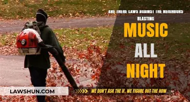 Neighborhood Noise Laws: Can You Stop Late-Night Music Blasting?