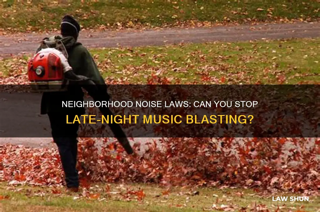 are there laws against the neighbors blasting music all night