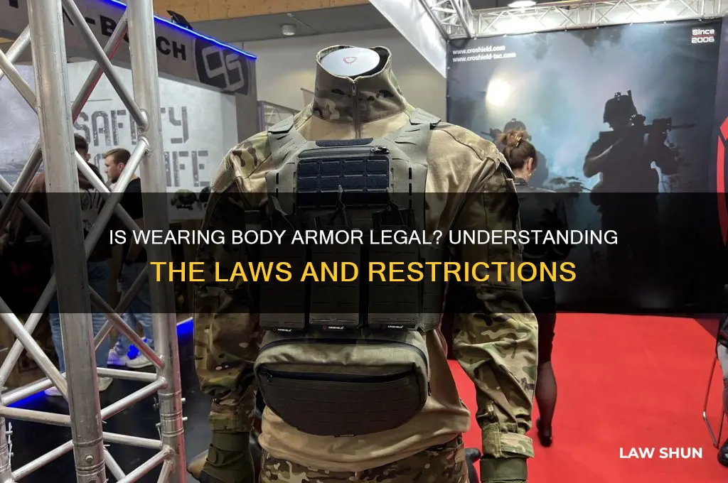 Is Wearing Body Armor Legal? Understanding The Laws And Restrictions ...