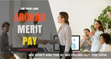 Understanding Merit Pay Laws: Legal Guidelines for Performance-Based Compensation