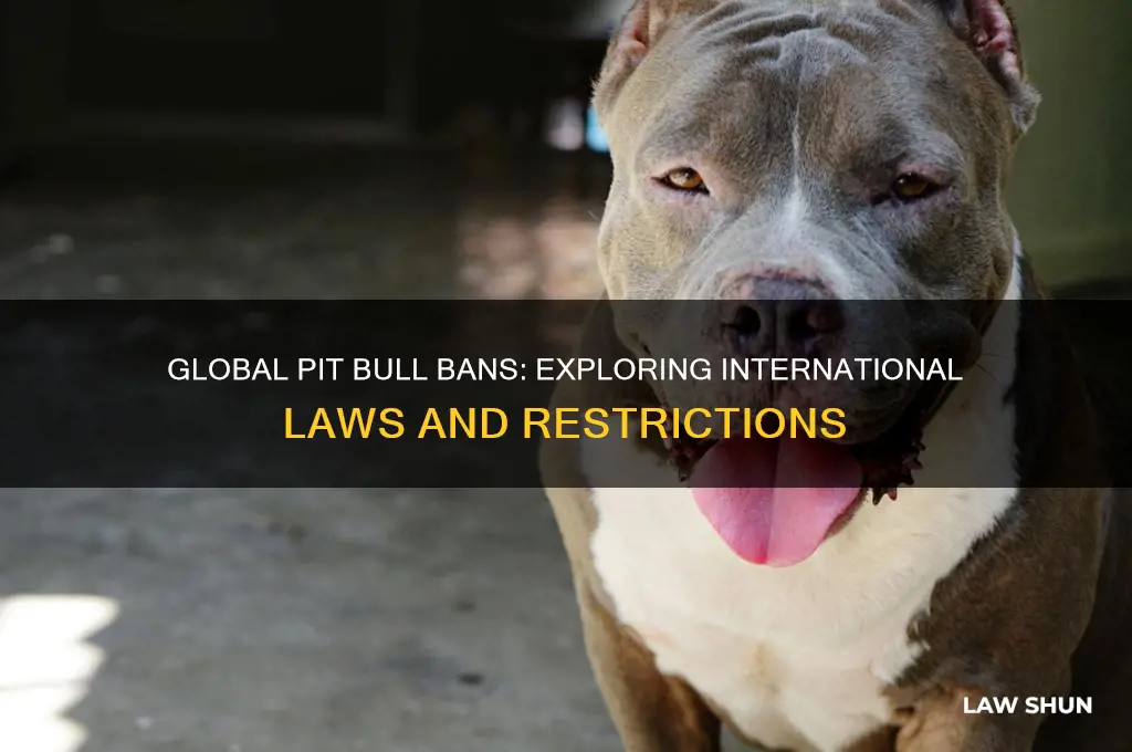 are there laws banning pit bulls in other countries