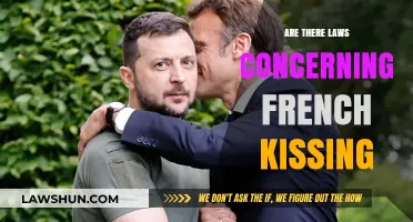 Legal Boundaries of French Kissing: Exploring Consent and Public Decency Laws