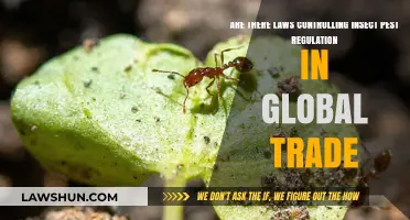 Global Trade Laws: Regulating Insect Pests in International Commerce