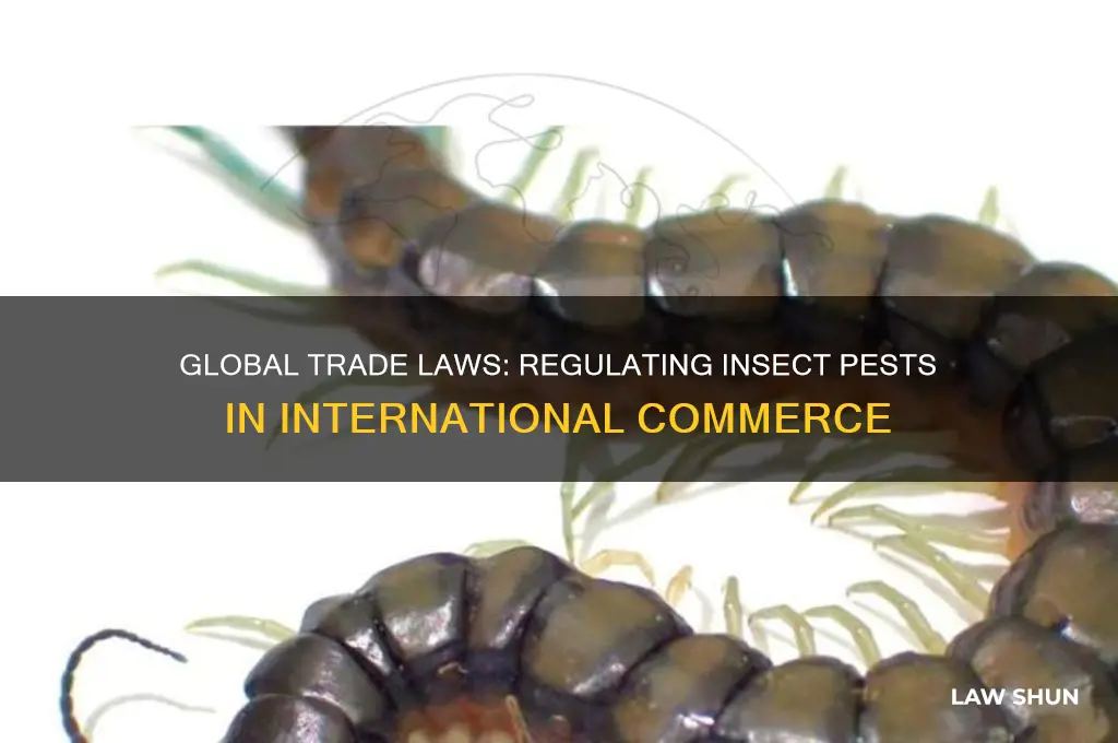 are there laws controlling insect pest regulation in global trade