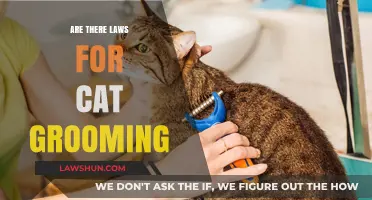 Understanding Legal Requirements for Cat Grooming: What Owners Need to Know