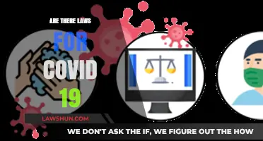 Understanding Legal Measures: Are There Specific Laws for COVID-19?