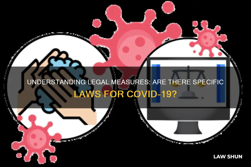 are there laws for covid 19
