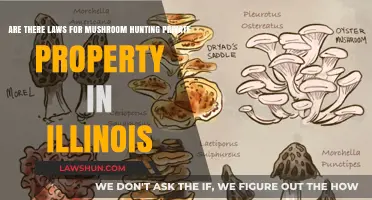Mushroom Hunting on Private Property in Illinois: Legal Boundaries Explained