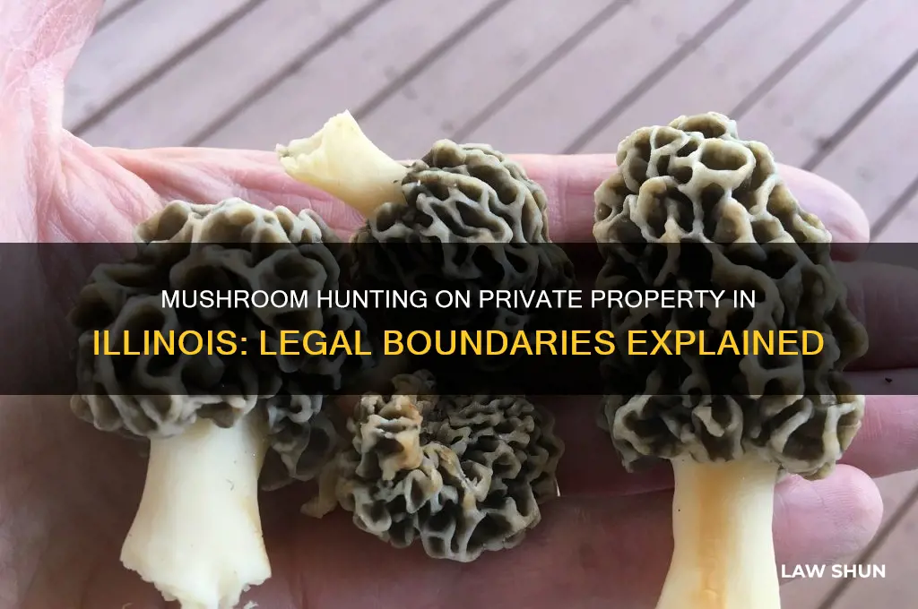 are there laws for mushroom hunting private property in illinois